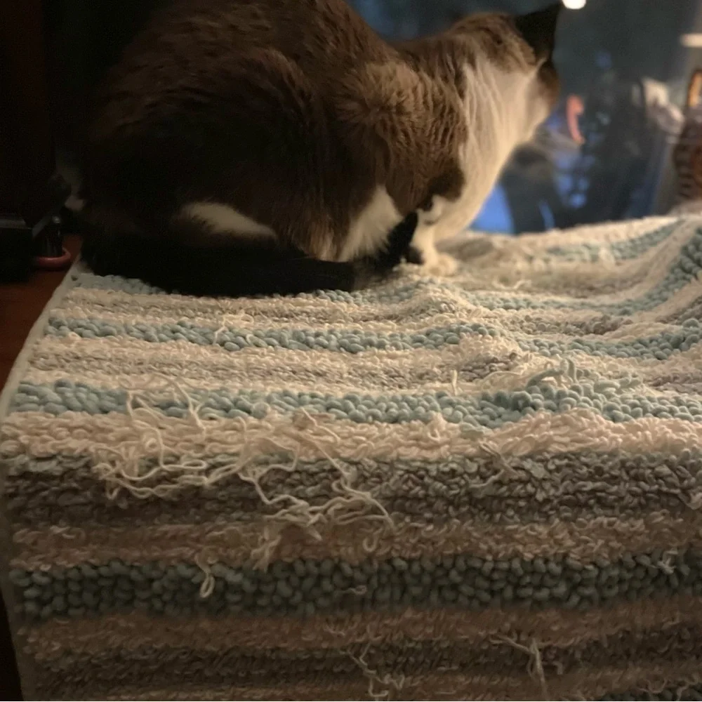 NWT Sonoma Bath Mat | Cat-Crafted | By Timber | Purr-ceived Defects by Design